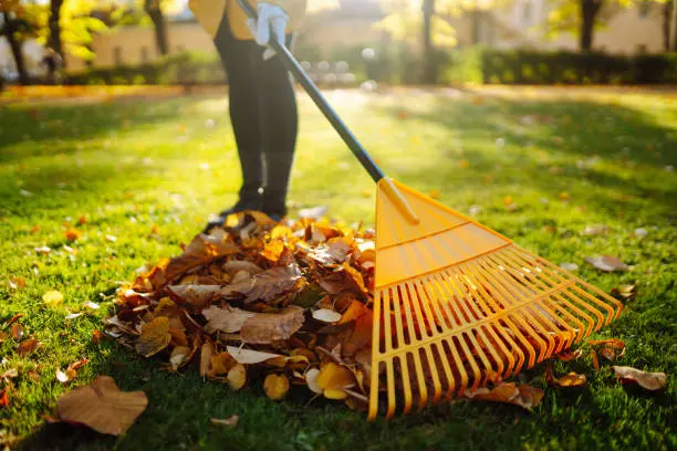 Reliable Cleanup Cleanup