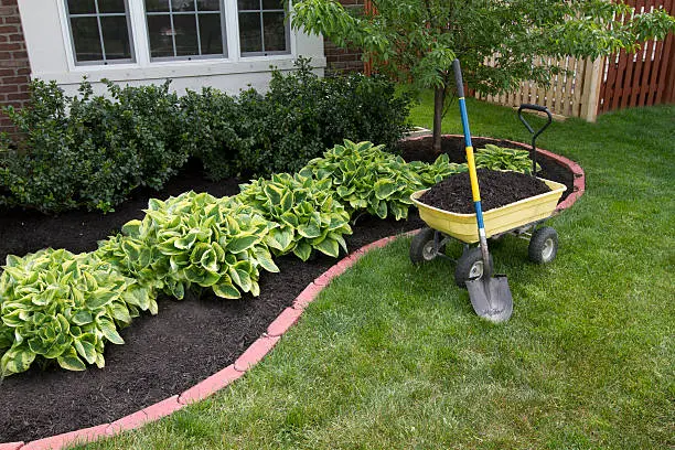 Reliable Landscape Maintenance Landscape Maintenance