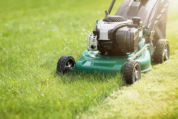Reliable Mowing, Grading, and Gardening Mowing, Grading, and Gardening