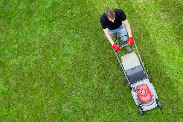 Reliable Tree, Shrub, and Lawn Care Tree, Shrub, and Lawn Care