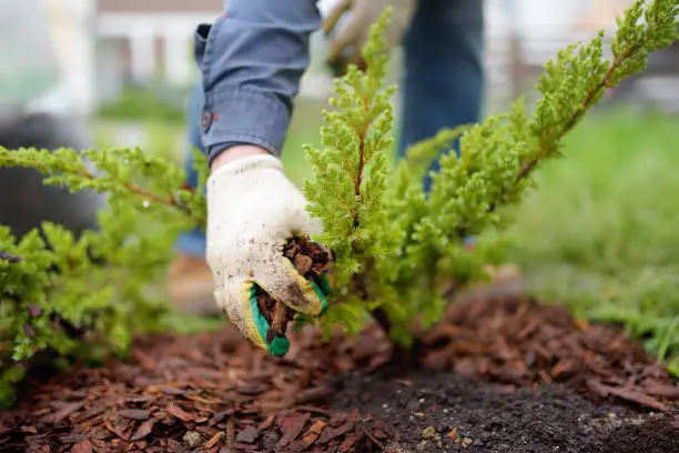Reliable Weed Control, Edging, and Mulching Weed Control, Edging, and Mulching