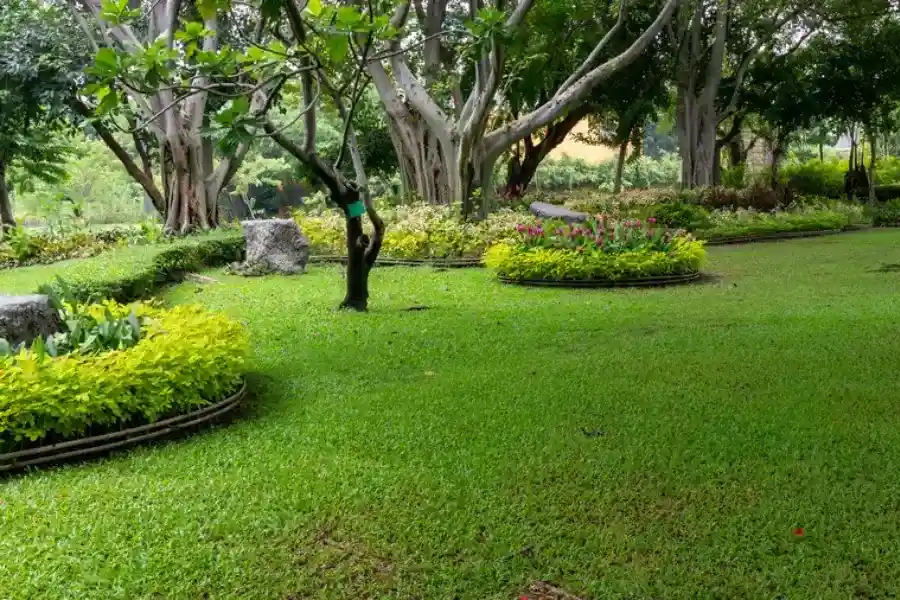 Affordable Landscape Maintenance Patterson CA Affordable Landscape Maintenance Patterson CA