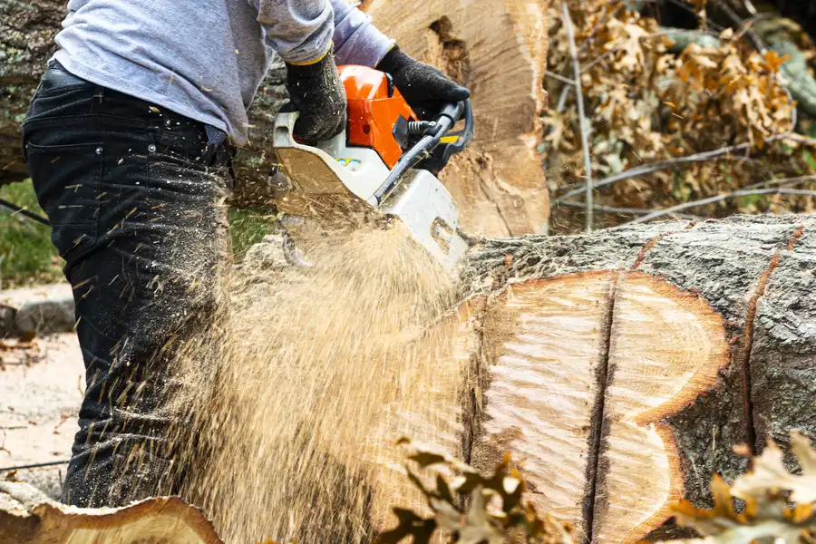 Excellent Tree Stump Removal Patterson CA Excellent Tree Stump Removal Patterson CA