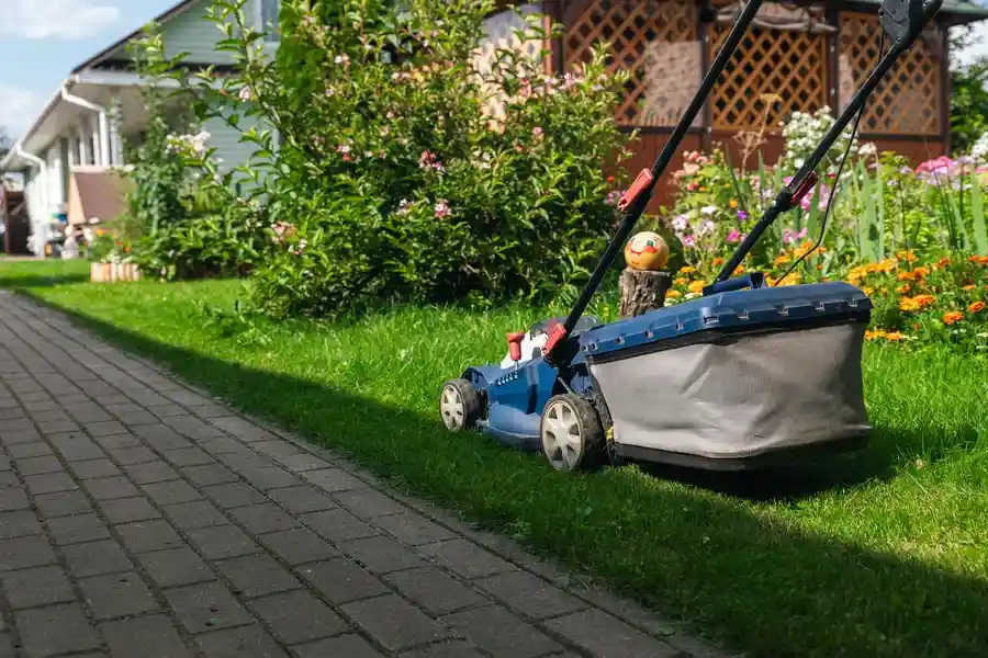Expert Landscape Maintenance Patterson CA Expert Landscape Maintenance Patterson CA