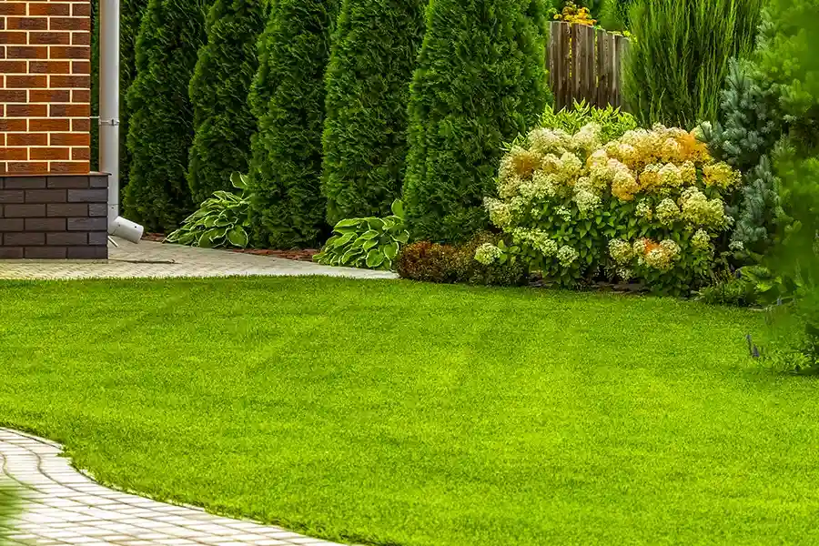 Local Lawn Care Services Patterson CA Local Lawn Care Services Patterson CA