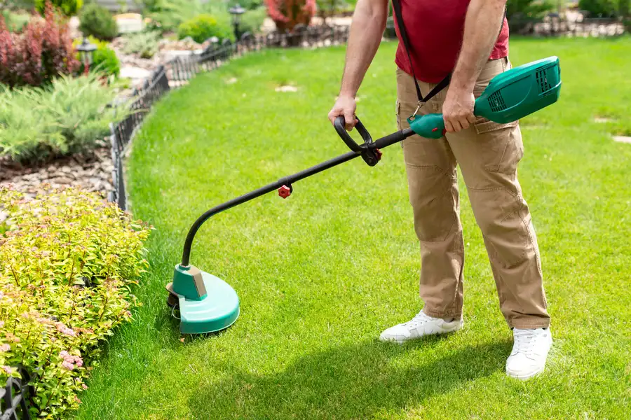 Professional Lawn Care Services Patterson CA Professional Lawn Care Services Patterson CA
