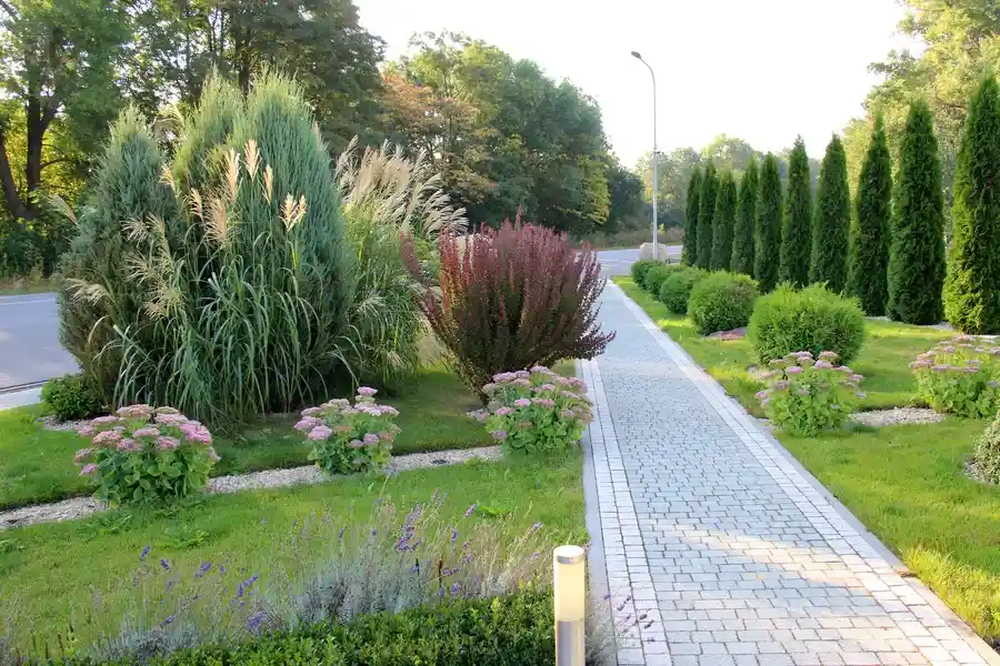 Reliable Landscape Maintenance Patterson CA Reliable Landscape Maintenance Patterson CA
