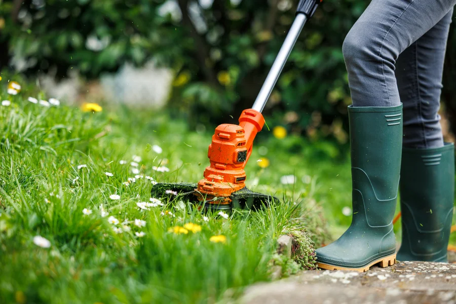 Reputable Lawn Care Services Patterson CA Reputable Lawn Care Services Patterson CA