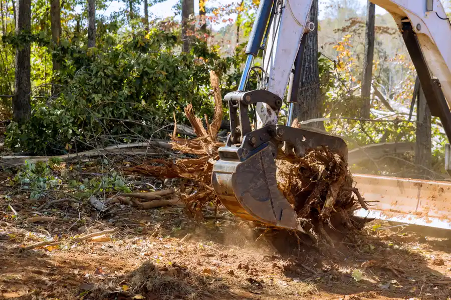 Superior Tree Stump Removal Patterson CA Superior Tree Stump Removal Patterson CA