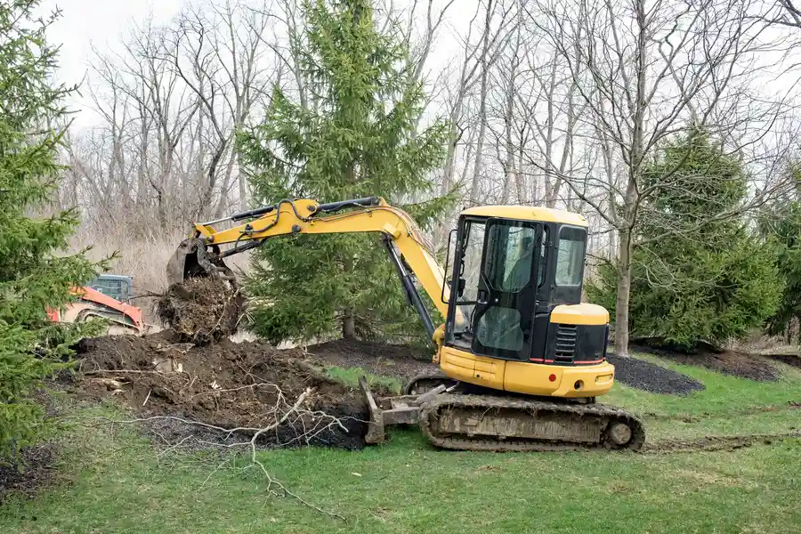 Top-rated Tree Stump Removal Patterson CA Top-rated Tree Stump Removal Patterson CA