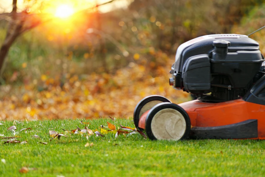 Why Lawn Care Services Matter For Your Tree Health in Patterson CA Why Lawn Care Services Matter For Your Tree Health in Patterson CA